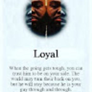 Meet your Posher, Dion